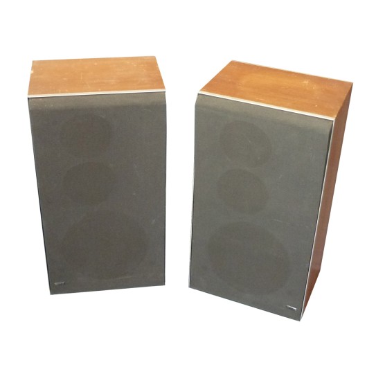 Bang & Olufsen Speaker Set